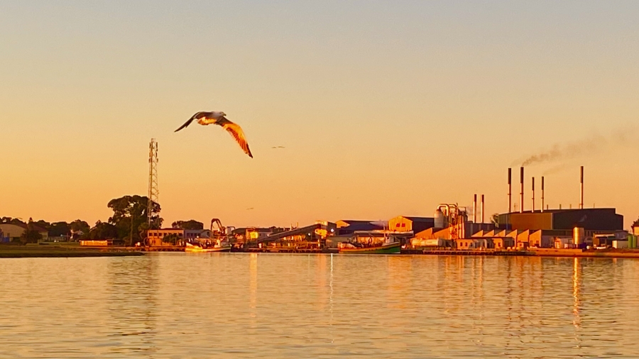 3 Bedroom Property for Sale in Atlantic Sands Private Estate Western Cape